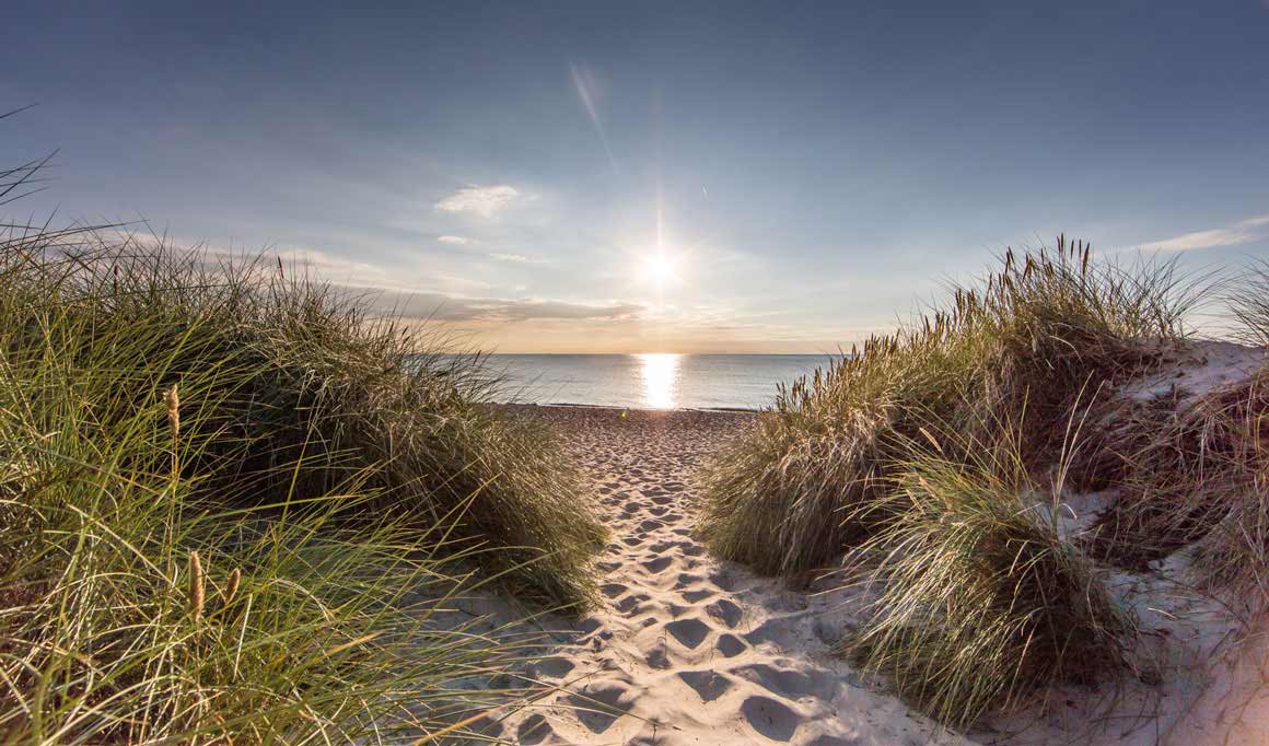 Strand auf Fischland Darß Zingst