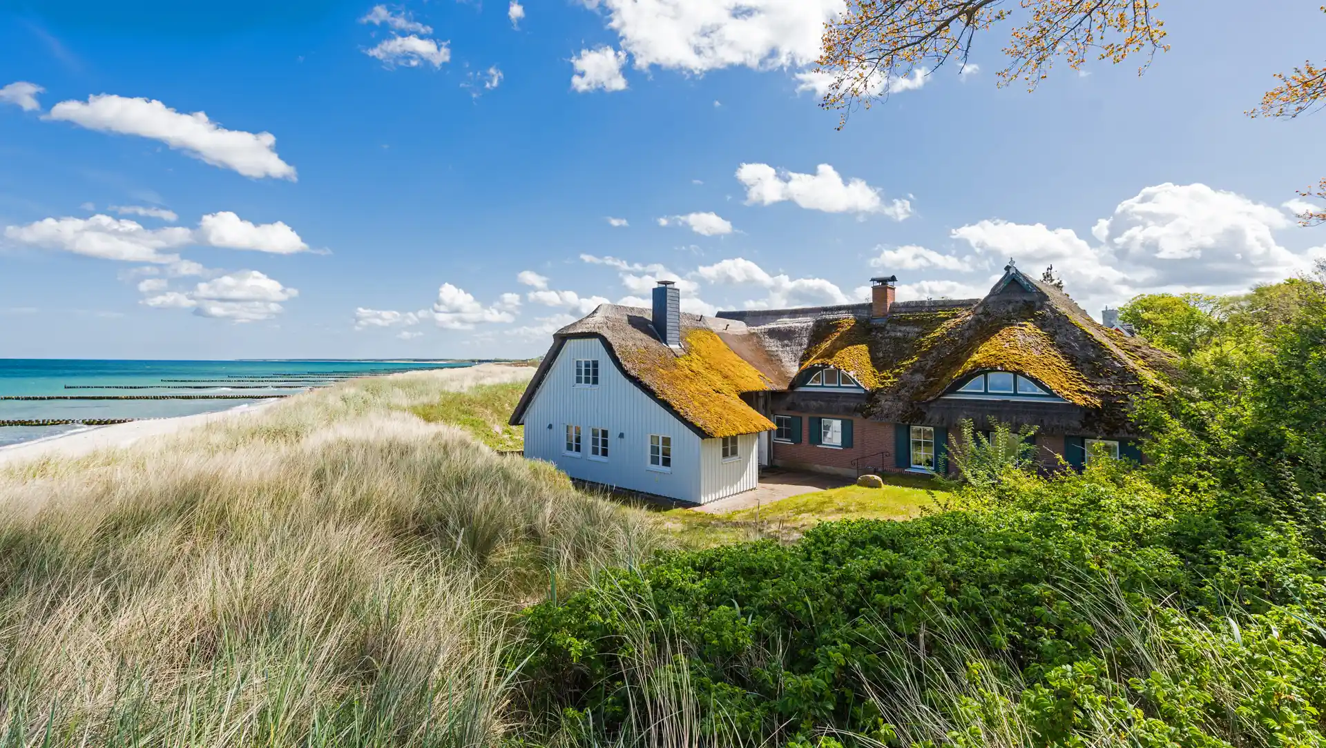 Ostsee-Ferienwohnung-Background